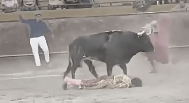 ANIMALS FUCKING HATE US: VOLUME 294