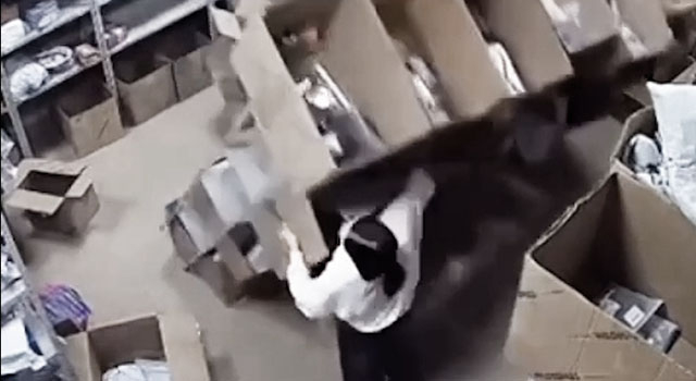 OCCUPATIONAL HAZARDS