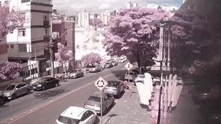 Small Plane Crash