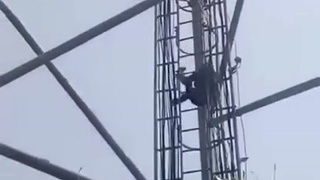 Gravity is a bitch