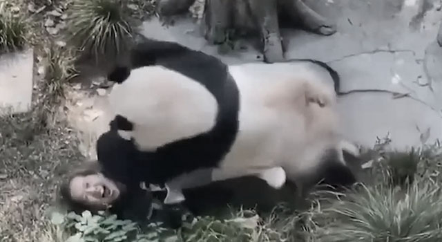 ANIMALS FUCKING HATE US: VOLUME 292