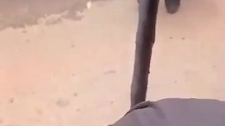Leader Accidently Shoots Himself at Funeral Procession