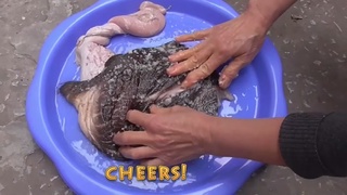 Don&rsquo;t judge other cultures they said
