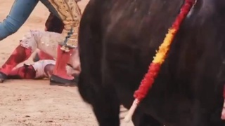 DRAMITIC BULLFIGHTING SCENE ENDS HILARIOUSLY FUCKED UP!