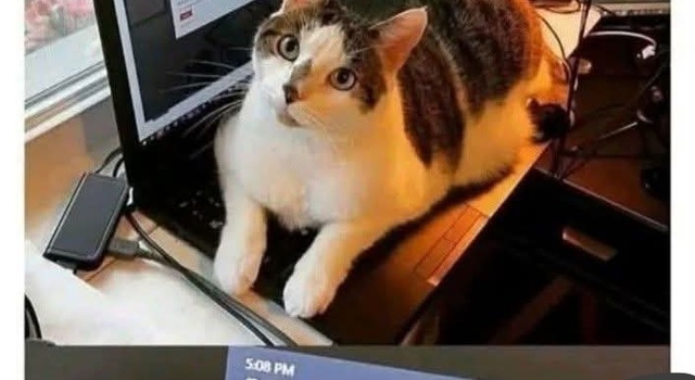 Boss Agrees