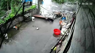 Outhouse Collapses Around Woman