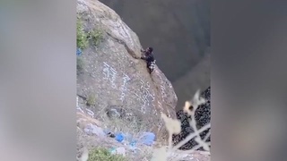 Daredevil Falls to His Death