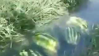 DAS DA WAKANDA RIVER AND SHEEEEEEEEEIT