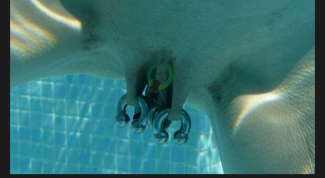 Diver weights
