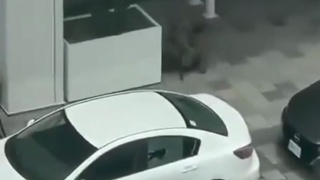 Canadian shooting - cop kill civilian
