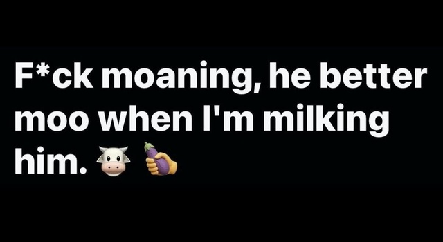 Start Mooing