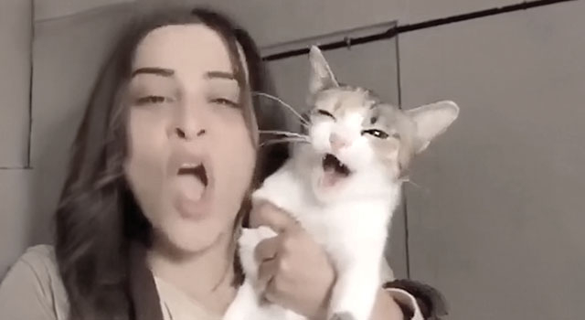 ANIMALS FUCKING HATE US: VOLUME 297
