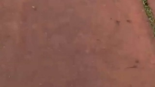 Bungee Jumper Dies