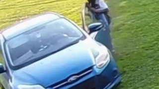 I WOULD ABSOLUTELY LOSE MY SHIT IF THIS WAS MY LAWN!