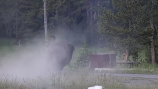 Yellowstone Yeet
