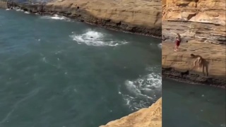 Cliff Diver Hits The Rocks