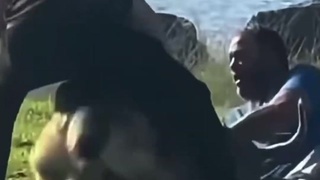 Fight at a Park