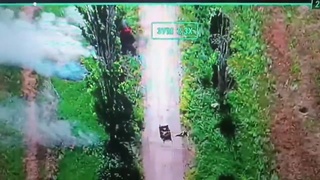 Bot on bot violence