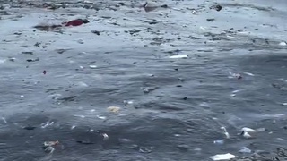 MUMBAI INDIA = SHIT HOLE!