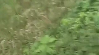Bike Collision