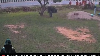 MOWED DOWN LIKE DOMINO'S!