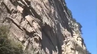 Dumb way to die