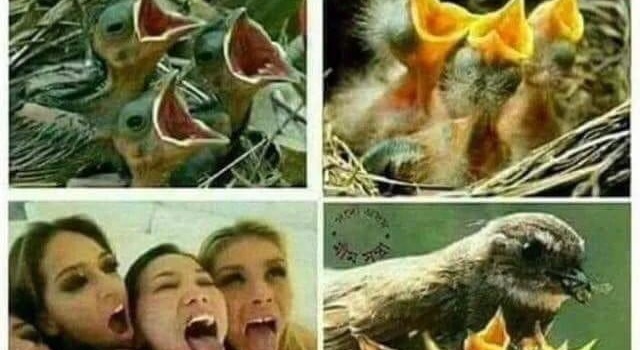 Nature Is Beautiful