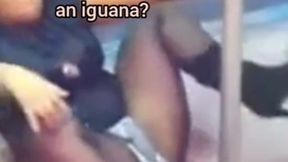 Identify