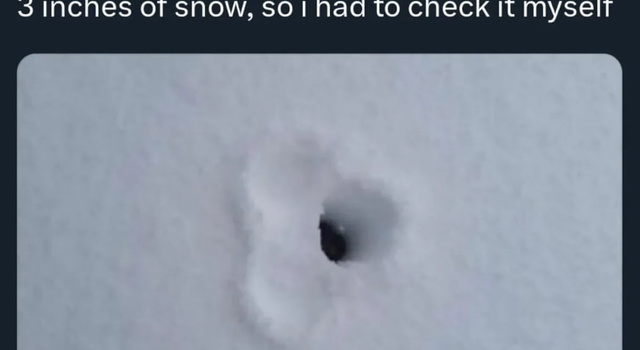 3 Inches of Snow