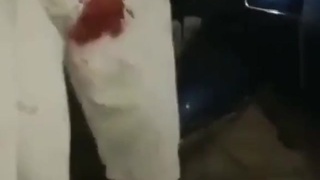 Animals fucking hate us