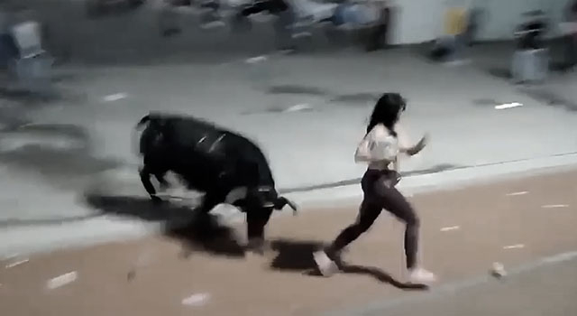 ANIMALS FUCKING HATE US: VOLUME 300