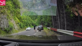 Tourist glued to phone doesn&rsquo;t notice bear approaching