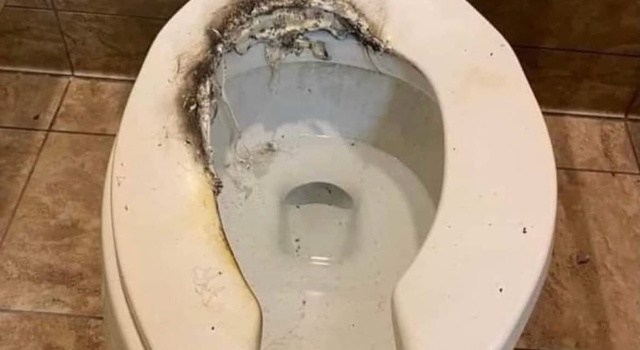 TACO BELL LETTUCE