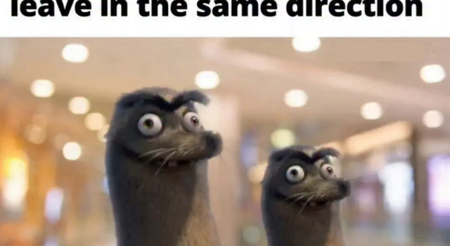 Both Of You Leave In The Same Direction