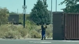 Little Man Big Gun