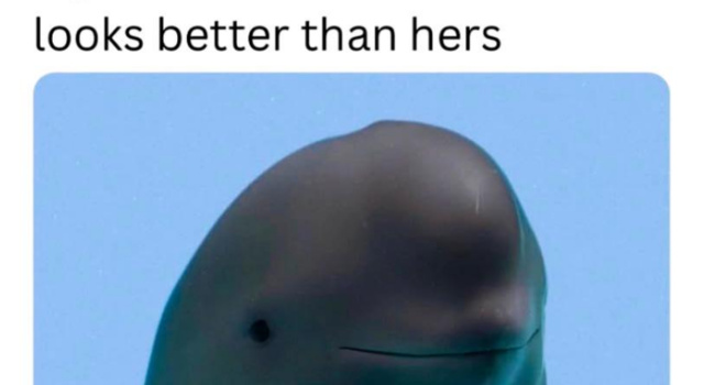Better Food