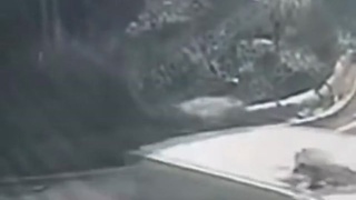SUV Suspended Between a Cliff and Electrical Box