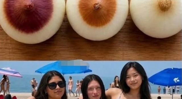 Onion Boobs