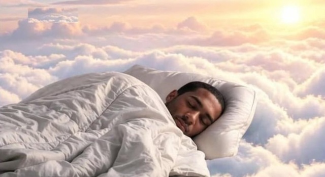 7am Bed