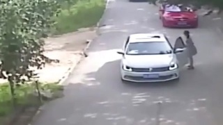Woman in Tiger park gets out to shout at husband