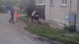 Dog defends owner