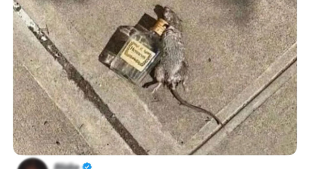 NYC Rat