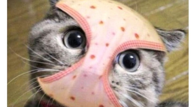 Underwear Mask