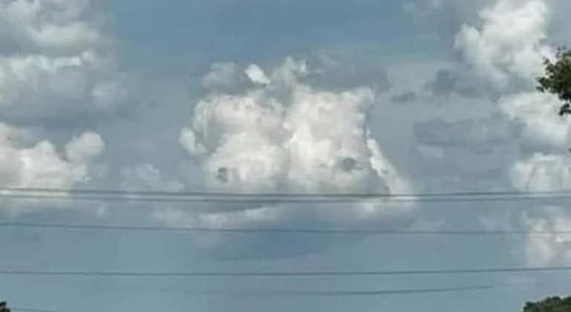 Calm The Fuck Down