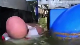 Jet Skier Passes Out and Hits Docks
