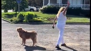 Crazy Lady
