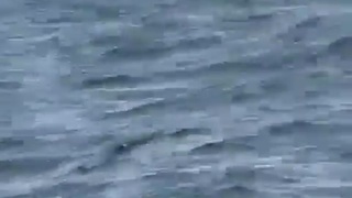 Ferry Capsize Kills 68