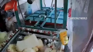 WHEN AI TAKES OVER, NOT EVEN QUILTERS WILL BE SAFE!