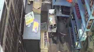 Kitty At The Liquor Store