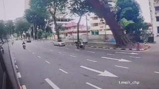 Huge Tree Falls on Car
